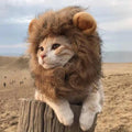 Pet Funny Clothes