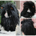 Pet Funny Clothes